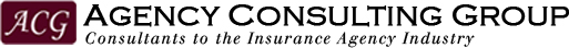 Agency Benchmarking, Agency Valuation, Agency Analysis, Agency Automation, Agency Acquisition, Agency Sales, Agency Mergers, Expert Witness, Incentive Compensation Programs, Strategic Planning, Producer Compensation, Relationship Selling